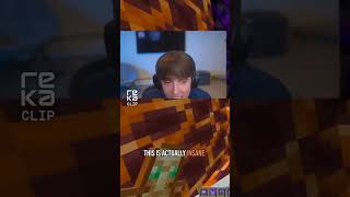Minecraft Rollercoaster: Pure Insanity!