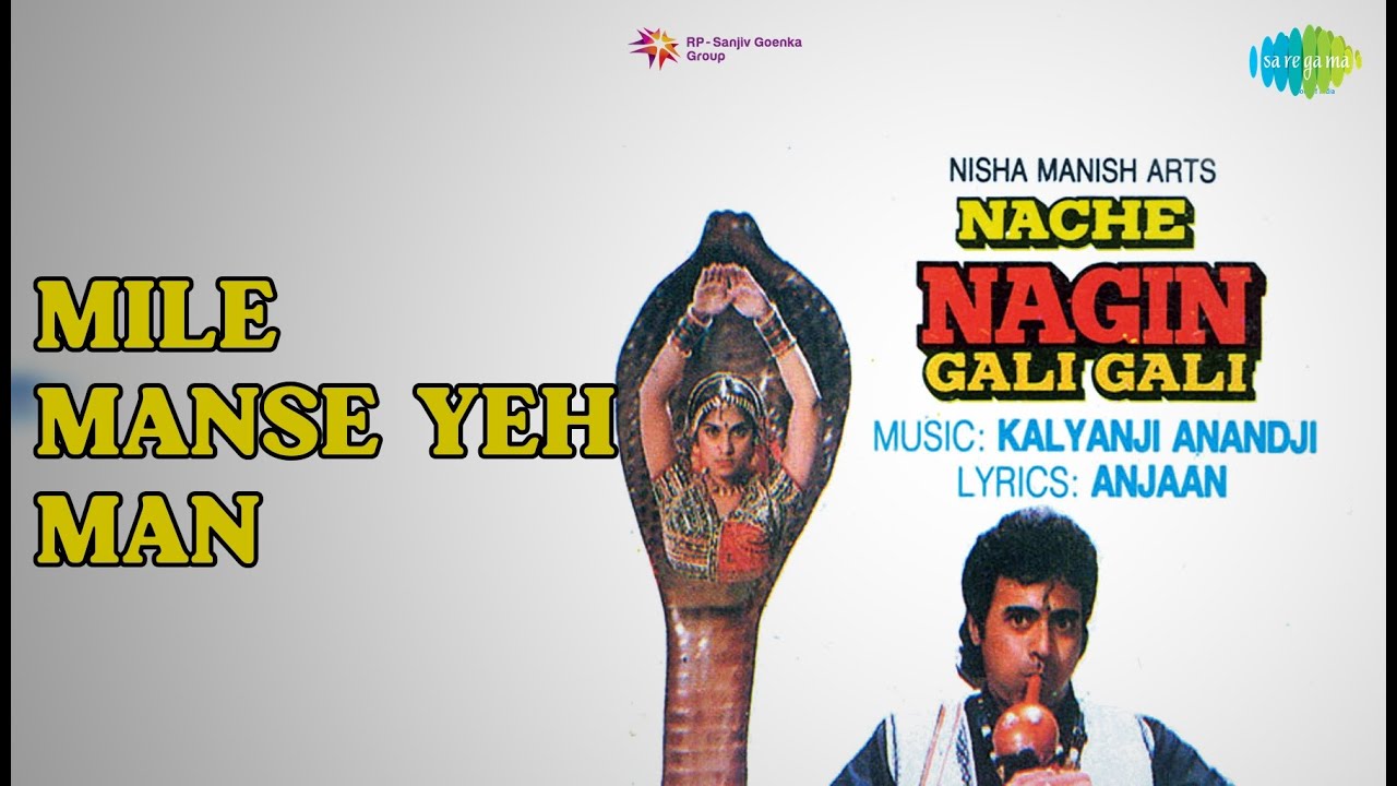 Mile Manse Yeh Man  |  Nache Nagin Gali Gali  |  Nitin Mukesh  |  Sadhana Sargam Songs