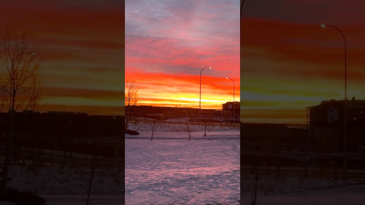 Good morning, today sunrise had a different feel 