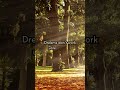 Dreams don’t work unless you do