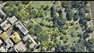 Creating Polygons in ArcGIS Pro Wealth