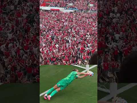 The reaction of Norwegian fans in Oslo 🥳🧤