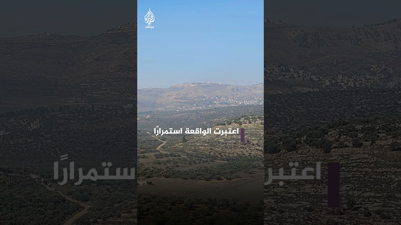 مستوطنون يسرقون الزيتون من المزارع الفلسطينية ثم يقطعون أشجارها