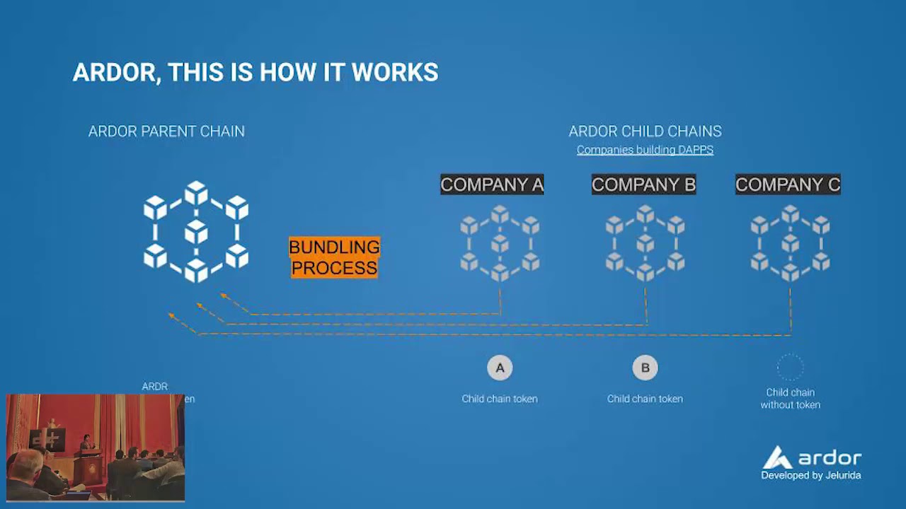 The Future of Blockchain: Multi-chain Architecture and the Ardor Platform