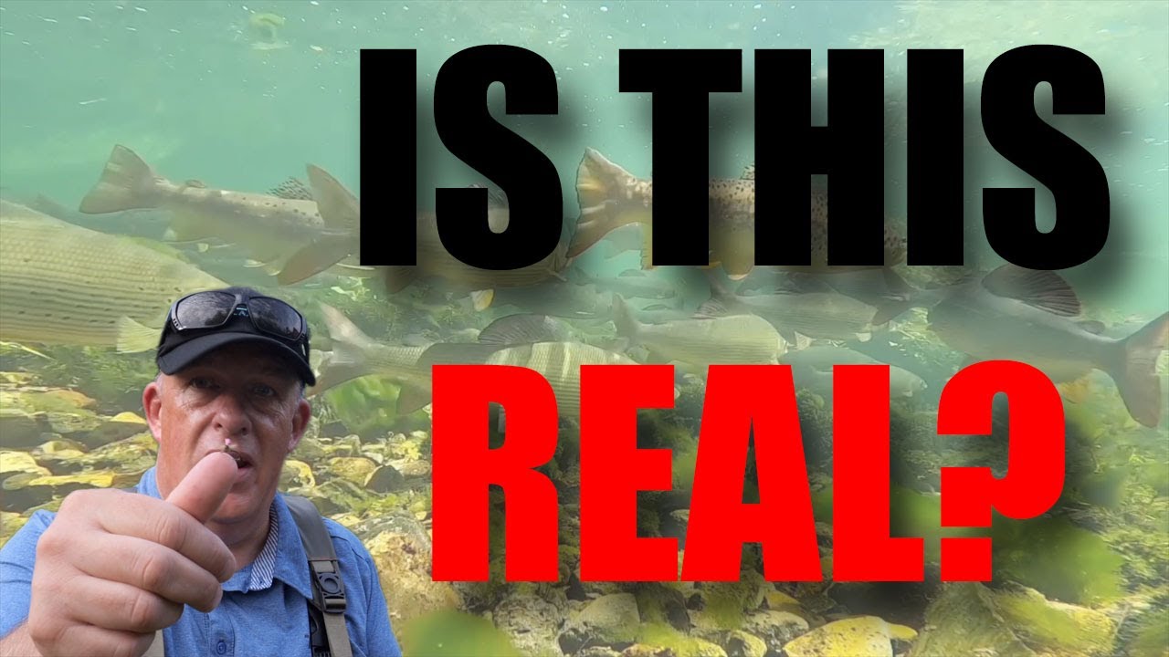 Fly Fishing Adventures: Discovering Bosnia's Hidden Gem - The River Ribnik