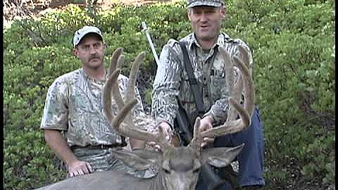 Mega Bucks Volume 5 - Muley Fever
