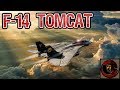 F-14 Tomcat - Naval Air Superiority Strike Fighter