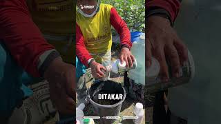 Ternyata ini keuntungan pemupukan semprot/spray!!#tips#petanimuda#petaniindonesia
