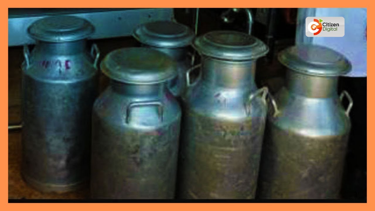 North and South Rift dairy farmers demand Sh300 million in delayed payments from New KCC