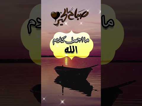 اجمل دعاء الصباح صباح الخير والسعادة والرضا دعاء الصباح صباح الخير حالات 