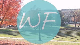 WF Highlights (2016)