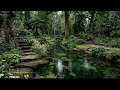Sound Relaxation Therapy Rain for Peaceful Mind