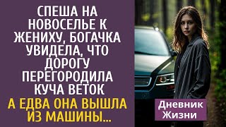 видео: Спеша на новоселье к жениху, богачка увидела, что дорогу загородила куча веток… А едва выйдя из авто картинка: Спеша на новоселье к жениху, богачка увидела, что дорогу загородила куча веток… А едва выйдя из авто