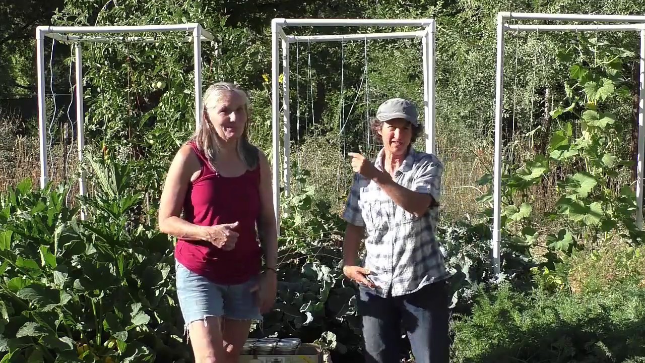 Marjory Wildcraft: Adventures in High Performance Gardening | Week 26