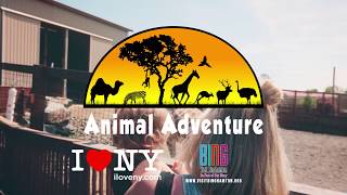 Your Animal Adventure Awaits!