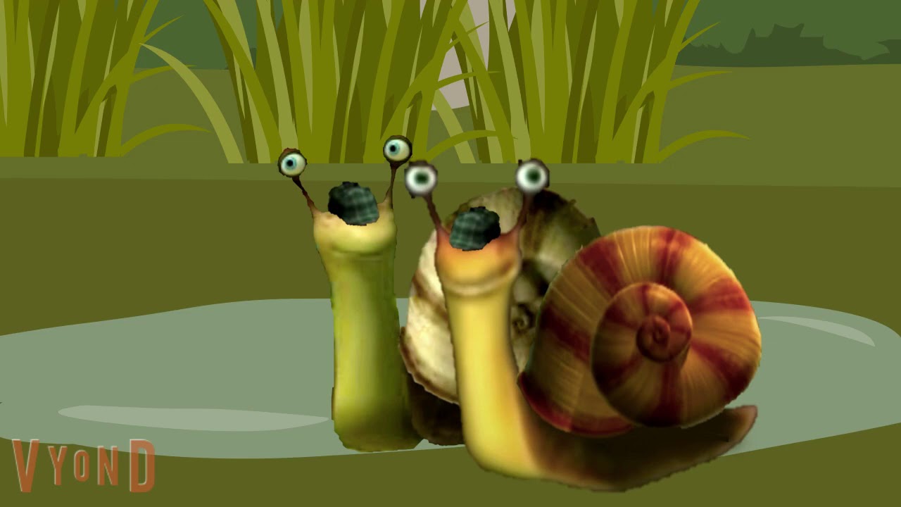 Mr Snail Puddle 720p 200918 YouTube