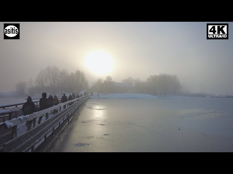 Santexniklar mushuklarni yalaydi sarkma kokrak jigarrang nipellar