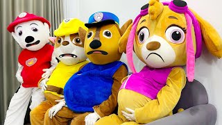 PAW Patrol Ultimate Rescue: Anyone Can Help Paw Patrol ??? | Paw Patrol Funny Action In Real Life