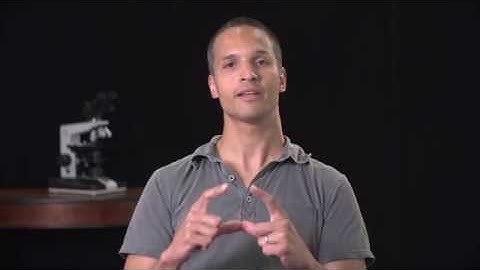 BIOESSAYS (Wiley): Lean forward