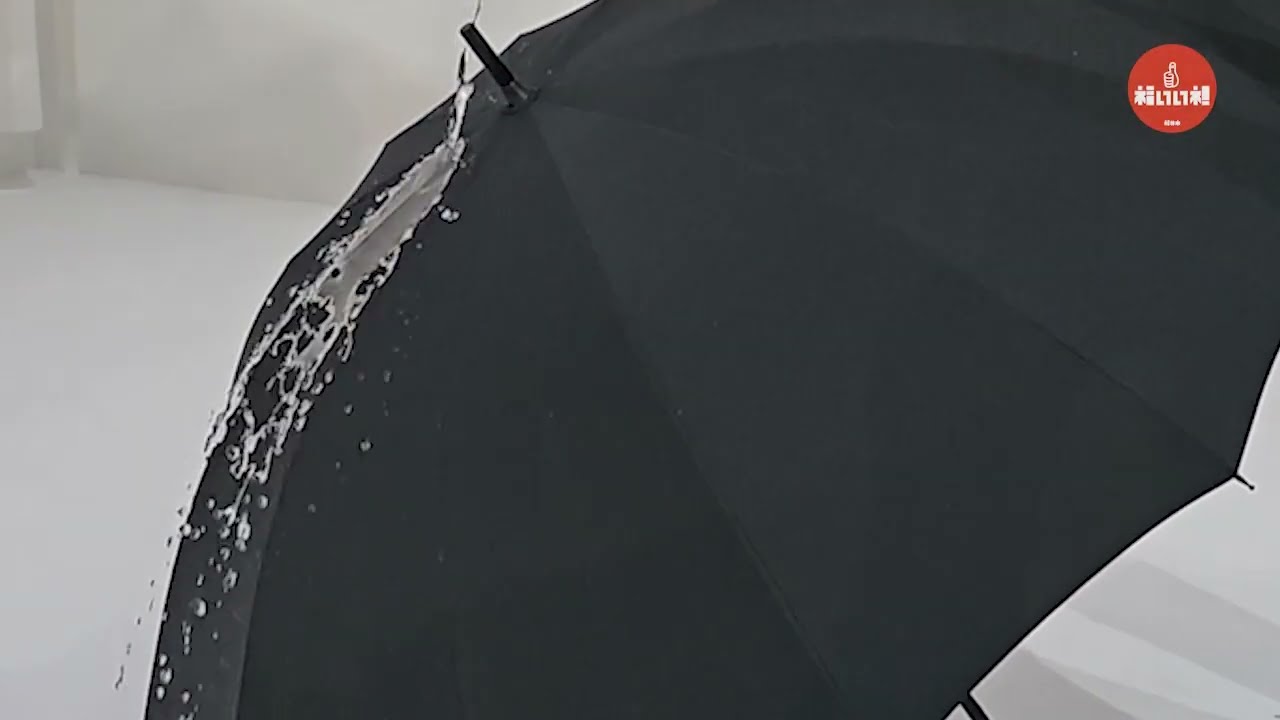 ふるさと納税 ヌレンザ 雨傘(親骨60cm)  ボルドー   [K-035001_01] 福井県福井市 - 2