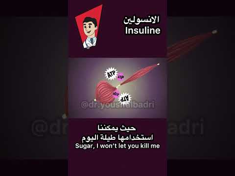 البنكرياس الطب التكميلي المربي احياء جامعة الموصل الرياضيات كافيه سادس اكسبلور جامعة كركوك