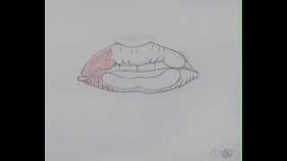 Animation Test "Lickey Lips"