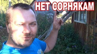 На даче полная зачистка от сорняков, и какая красотень вечерами в деревне