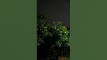 تلاوة هادئة قال لاتخافا أرح قلبك😴🎧#قرآن #راحة_نفسية #تلاوة_هادئة