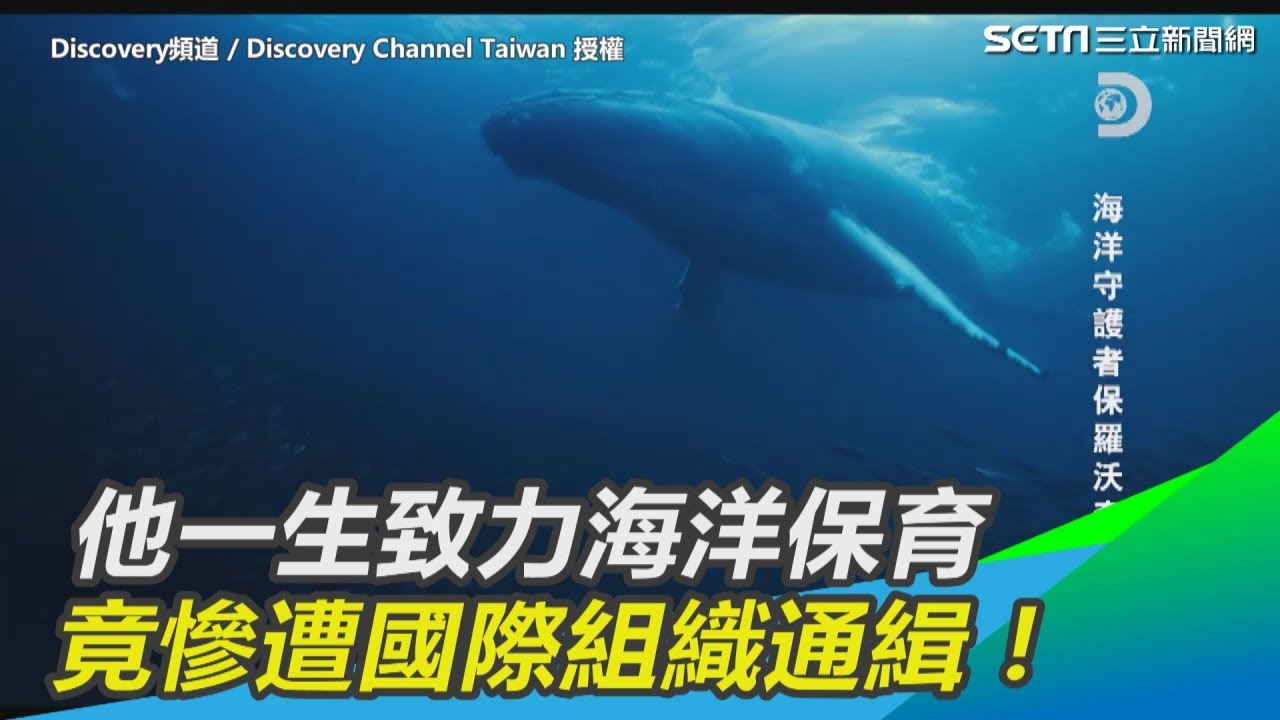 他一生致力海洋保育竟慘遭國際組織通緝 三立新聞網setn Com Youtube