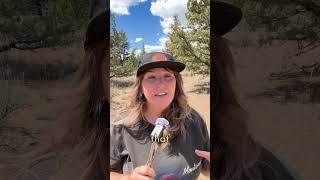 "SELL OFF STEVE" PEARCE CONFIRMED AS NEW DIRECTOR OF BLM - LET'S MAKE A TO DO LIST!