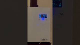 IMG 7384