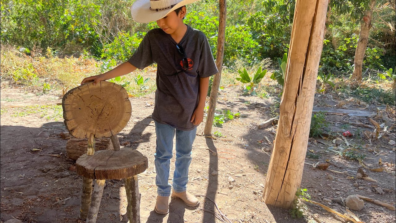 De un tronco hicimos esto..