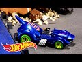 Creature Chaos Compilation | @Hot Wheels