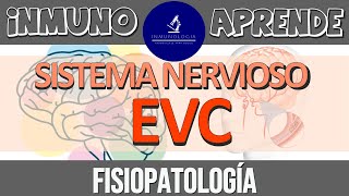 EVC: Fisiopatología | Anatomía neurovascular  Presentación clínica