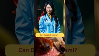Can Dogs Eat Salami? #CanDogsEatSalami #DogFood #Zudaan #dogfoodreview #dogfoodlover #doglife #dogs