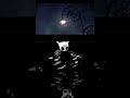 Ahora si es nuestro turno🐾🐾 #viral #hollowknight #viralvideo #shortvideo #shorts