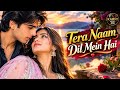 Tera Naam Dil Mein Hai Hindi Sad Romantic Love Song 2026| Bollywood Evergreen 90s Song