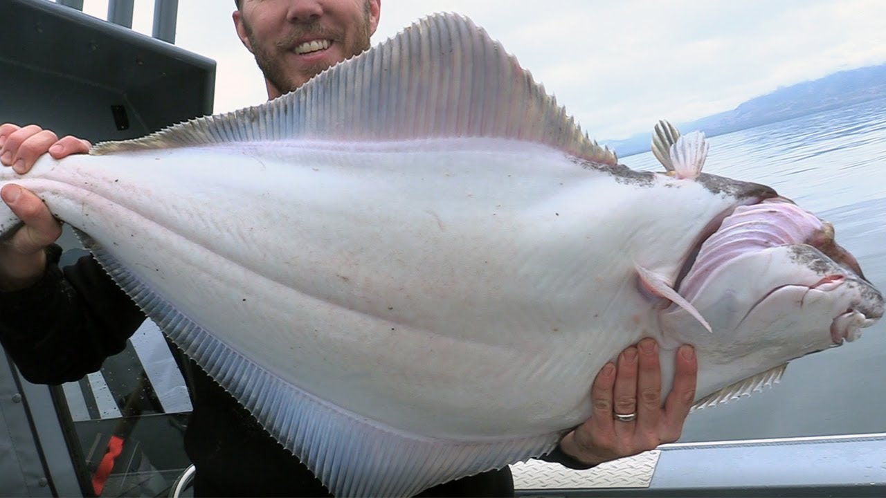 Halibut Fishing in Southeast Alaska (Ketchikan) 