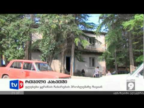 ახალი 9 | რთველი კახეთში | 12.09.12