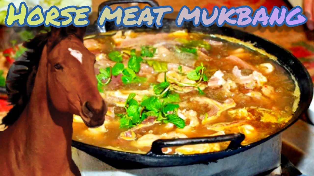 Horse Meat Taste Test Hmong Food Thắng Cố YouTube