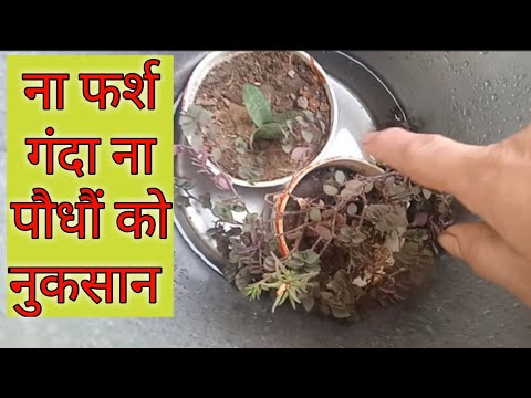 मैं कैसे पानी देती हूं/ How to water hanging baskets / Gardening life hacks