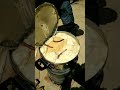 焚火で筍のアク抜き#Shorts#たけのこアク抜き#たけのこ料理