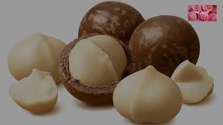 Macadamia Magic 15 FAQs Answered