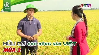 Đất tốt - Lúa khỏe nhờ Humic Bio và Full Grow Gold 2X | Hữu cơ cho nông sản Việt Mùa 2 Tập 3