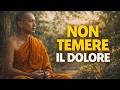 Il dolore emotivo non è il nemico: la lezione del Buddha che ti salva