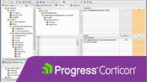 Corticon A walk through the advanced tutorial