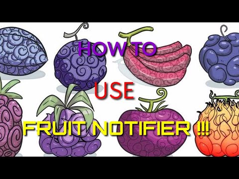 Blox Piece How To Use Fruit Notifier Gamepass By Javascout - blox fruits wiki legendary sword dealer