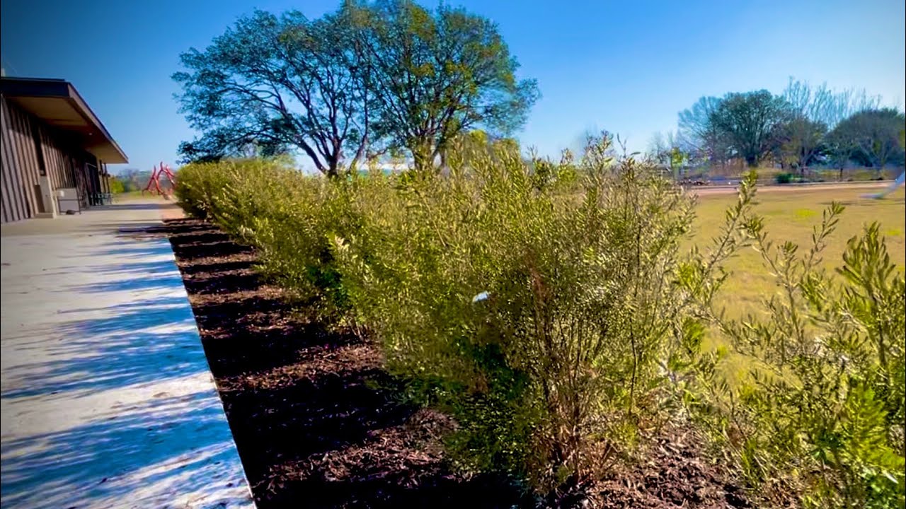 2) Unifying New Hedge through Selective Pruning - YouTube