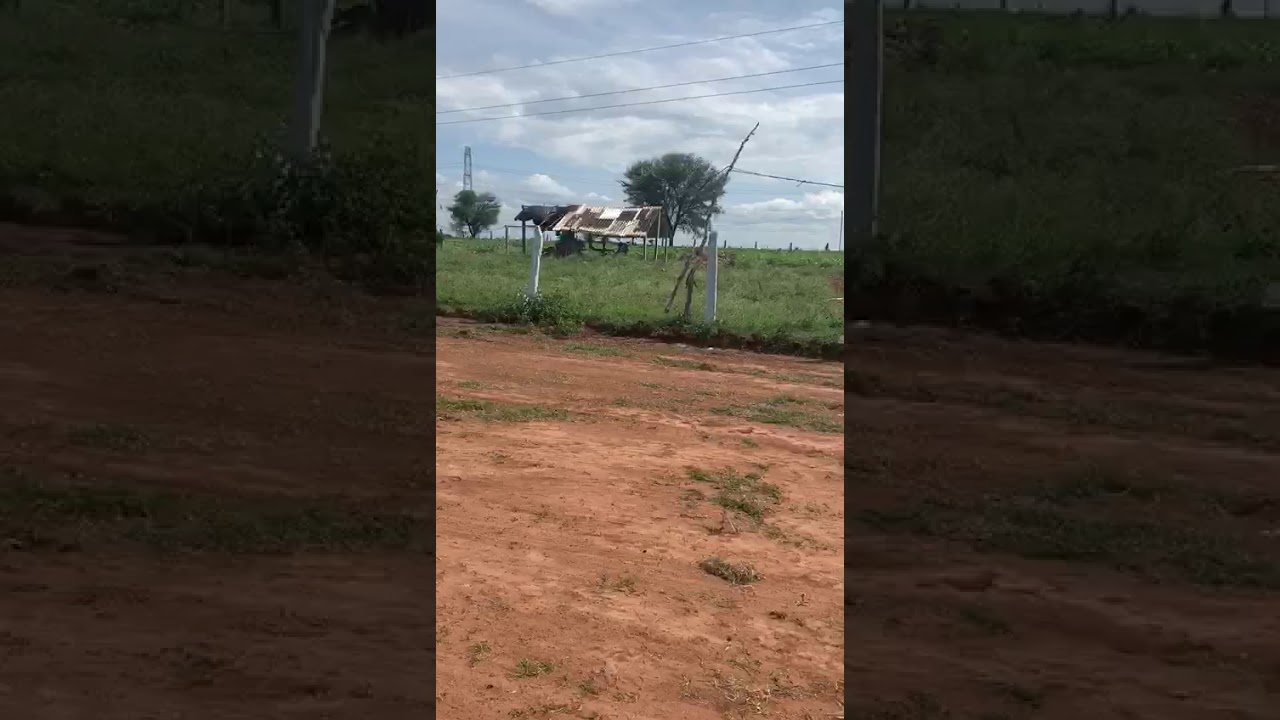 Farm Land for Sale 9494924356 YouTube