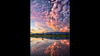 Harmonious Focus: Elevate Your Study Sessions with Soothing Study Music